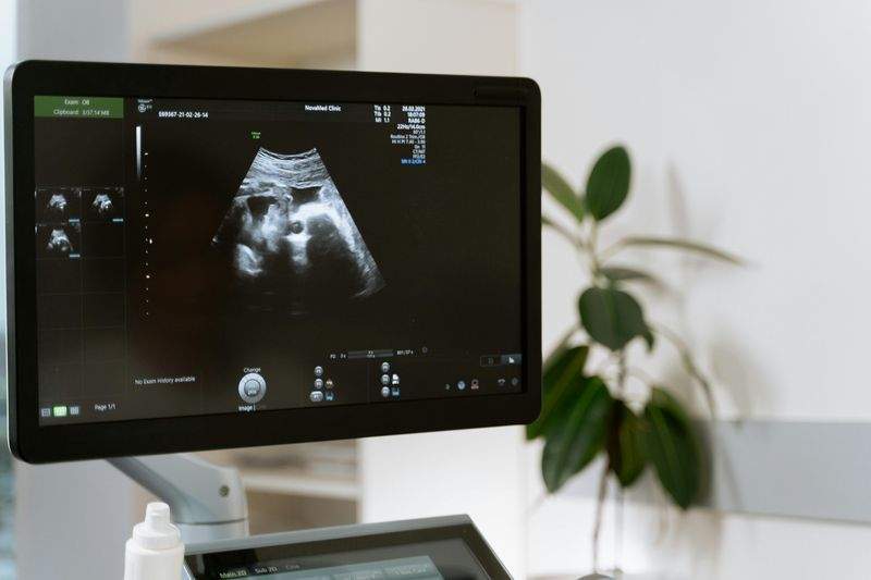 Lichtblick Fotografie - Image 3